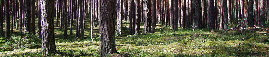 Impact of climate change and pollution on vegetation distribution and condition in the temperate,  boreal, alpine and polar zones, 26-27.10.2016